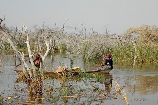 Photo du Lac Tchad