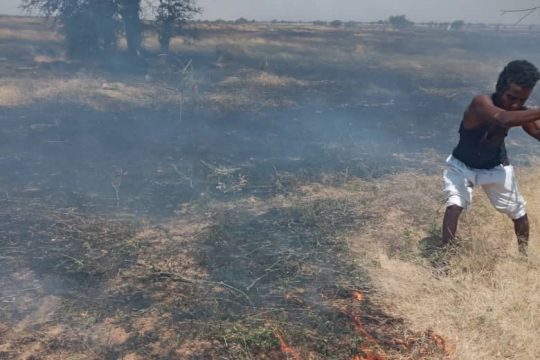 Un homme essayant de stopper un feu de brousse