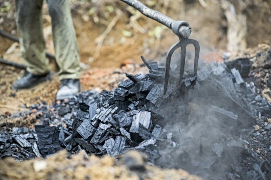 Le Niger a interdit la production de charbon sauf dans les régions d'Agadez et de Diffa.