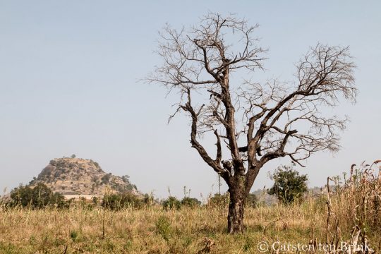 Le paysage à Kamberi près de Genu dans le nord-ouest du Nigeria