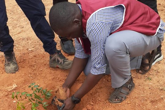 Un volontaire plantant un arbre le 03 août 2020 à Niamey