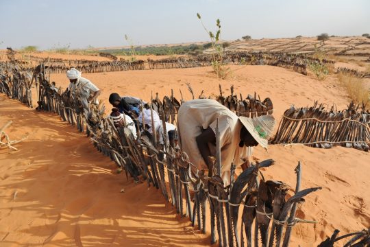 Barrières de sable pour lutter contre la désertification