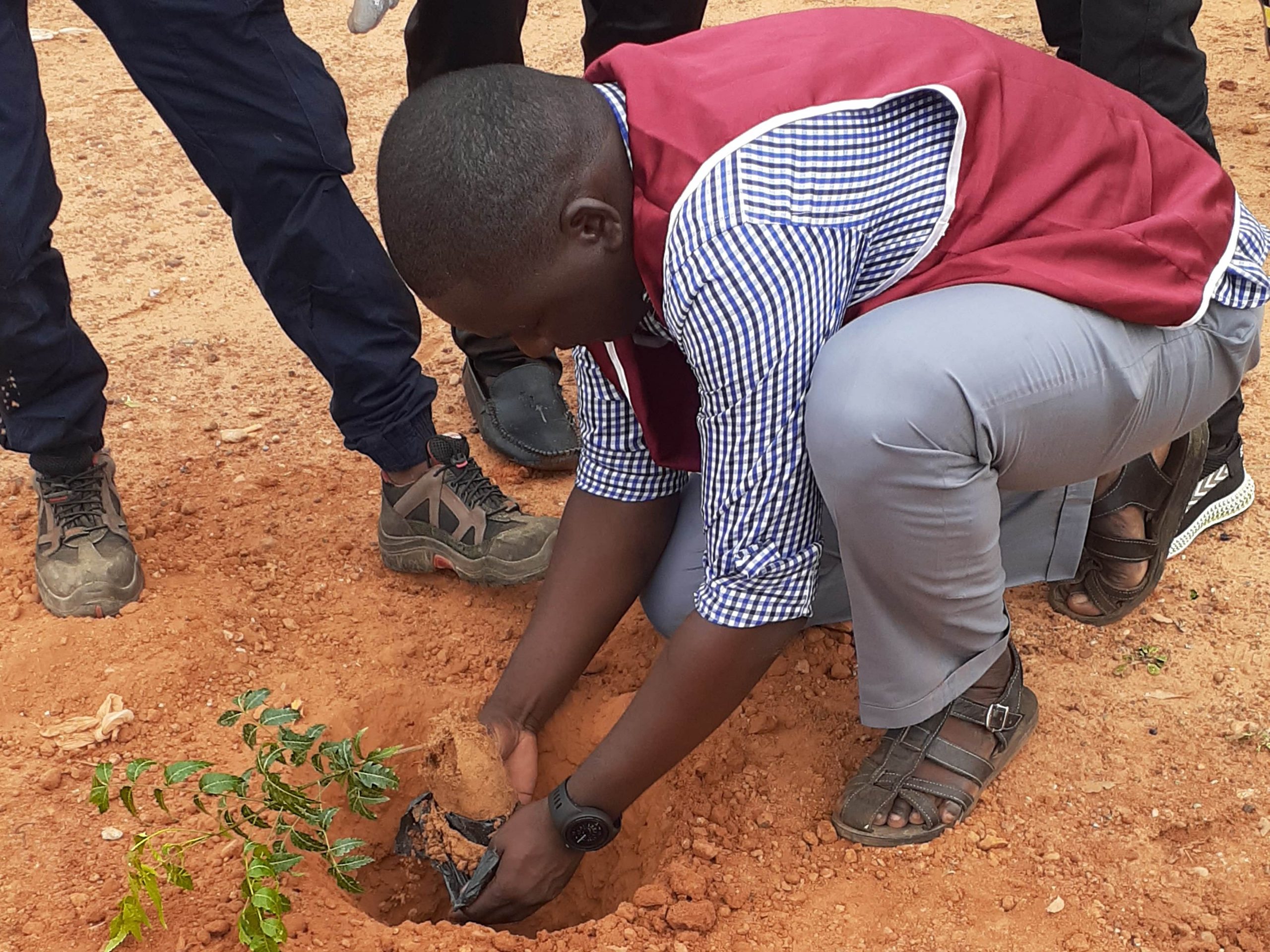 Créer des espaces verts à Niamey