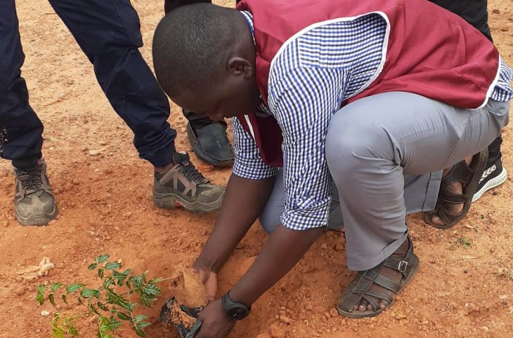 Début ce samedi d’une caravane de plantation d’arbres dans les écoles à Niamey