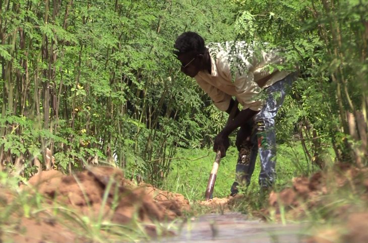 L’ONG Solidali accompagne les maraichers de Néné Goungou dans le 5<sup>ème</sup> arrondissement de Niamey