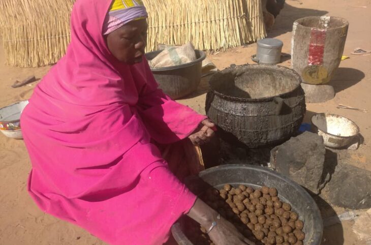 Portrait d’une femme veuve produisant du Soumbala à Diffa