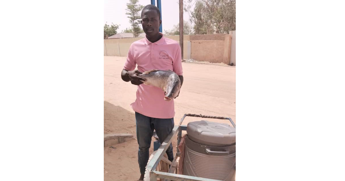 Portrait d’Abdoulaye Oumarou Soumana, vendeur de poissons frais à Agadez