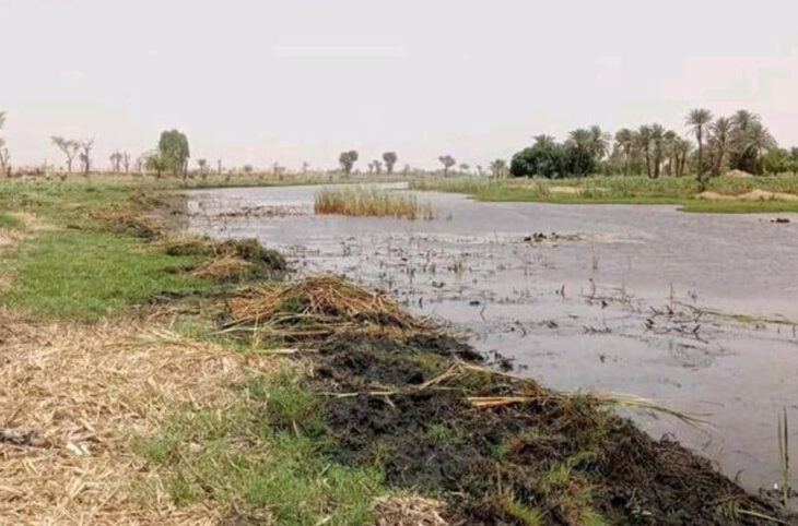 Impact du changement climatique sur les eaux de la vallée de la ''Korama'', cas de la localité de Droum