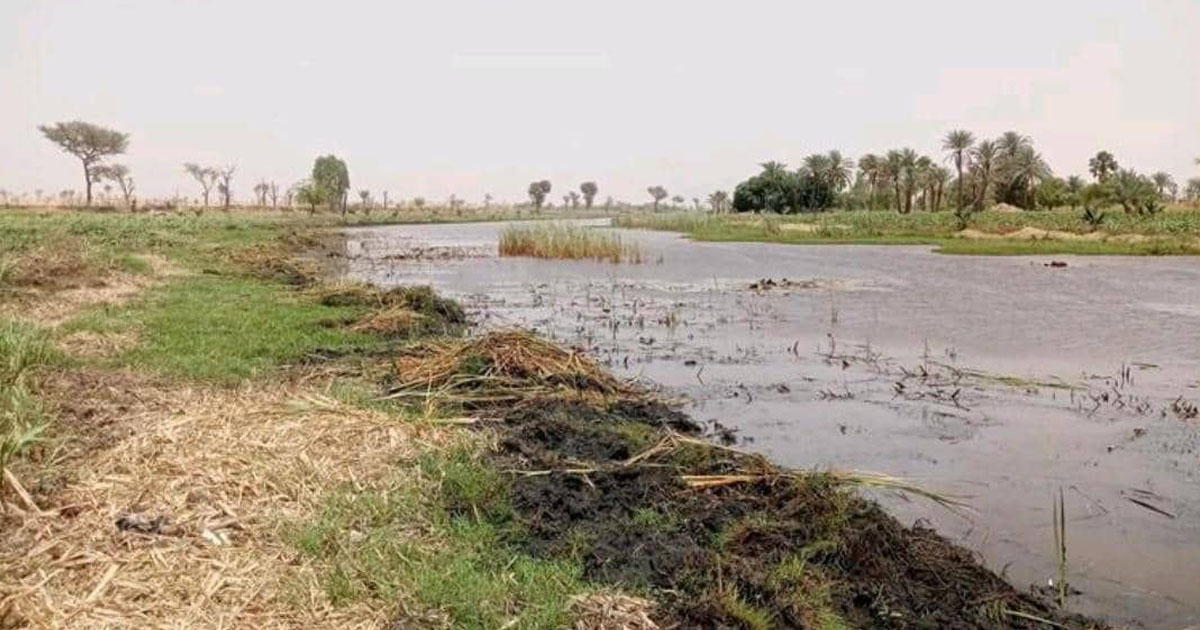 Impact du changement climatique sur les eaux de la vallée de la  »Korama », cas de la localité de Droum