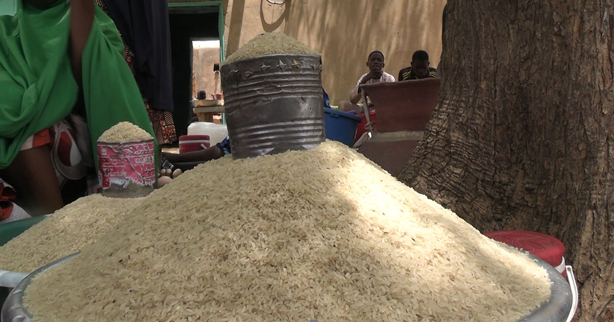 Le prix du sac du riz produit à Tillabéry connait une hausse croissante