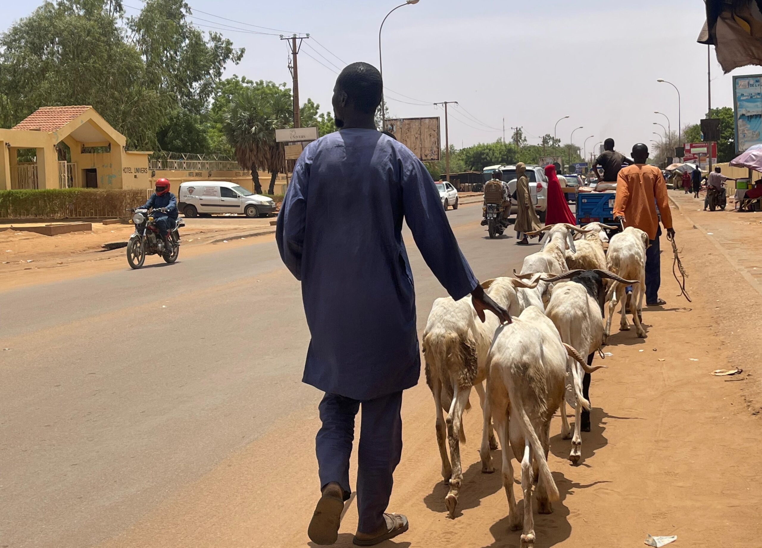 Tabaski : les vendeurs ambulants des moutons face à la mévente