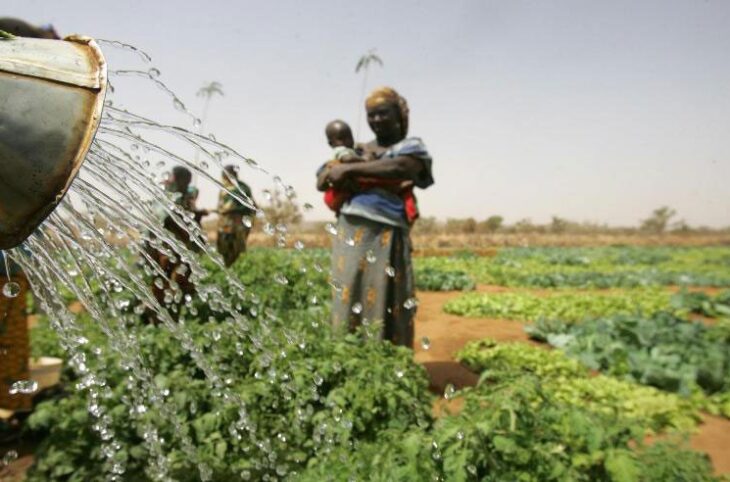 À Hamdallahi l’autonomisation des femmes passe aussi par le commerce et l'agriculture