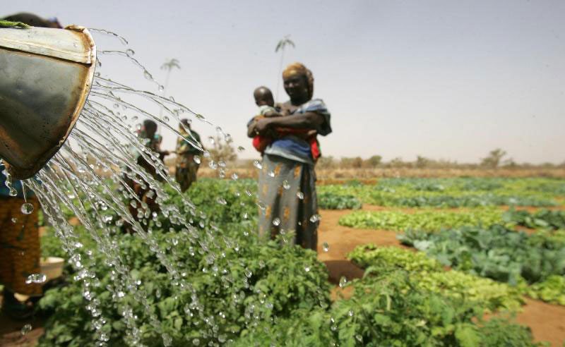 À Hamdallahi l’autonomisation des femmes passe aussi par le commerce et l’agriculture