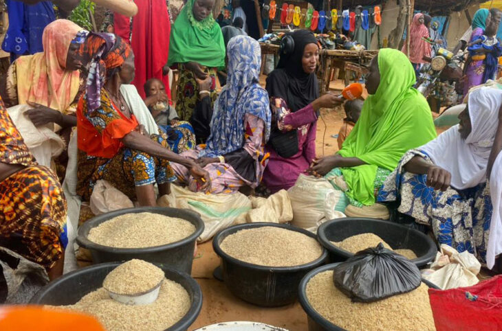 Activités génératrices de revenus des femmes au marché de Dioundou