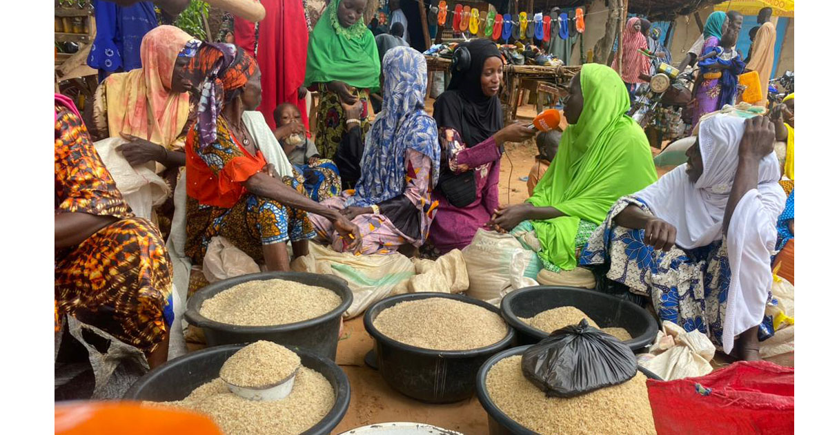 Activités génératrices de revenus des femmes au marché de Dioundou