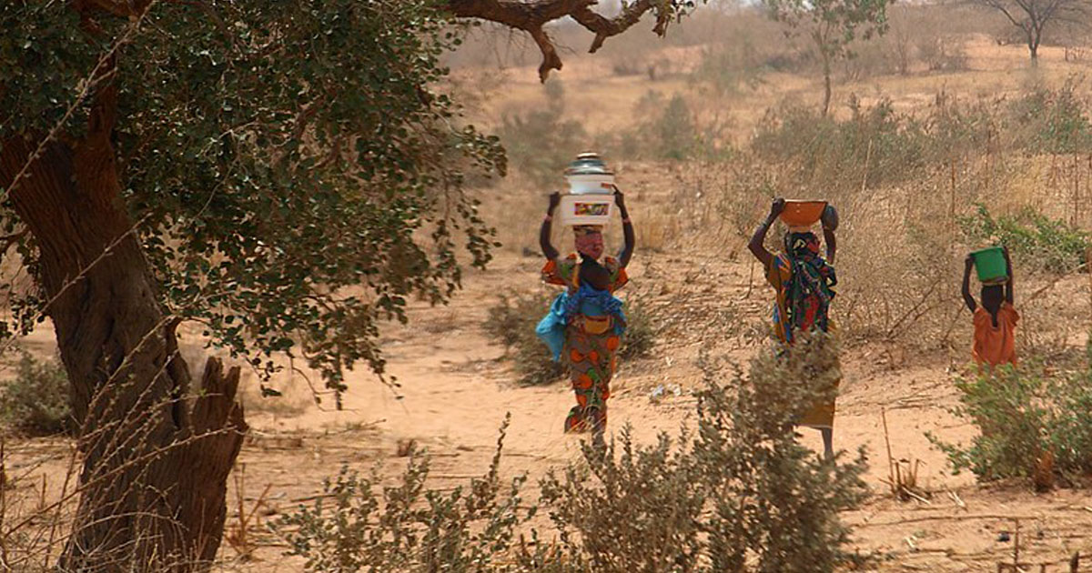 Le fonctionnement du groupement Annachoua de Birni N’gaouré