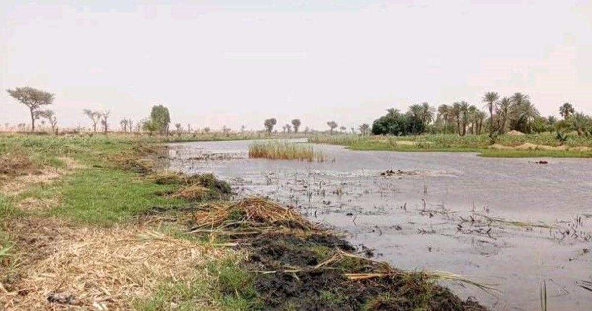 La vallée de la Korama dans la localité de Droum face aux effets du changement climatique