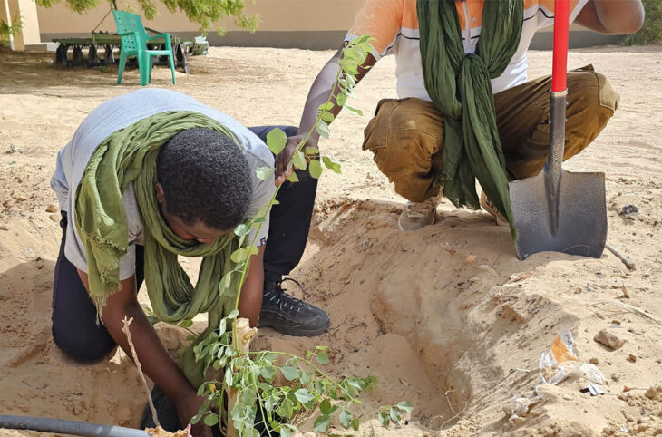 Des jeunes plantes des arbres à l’occasion de la fête du 03 août