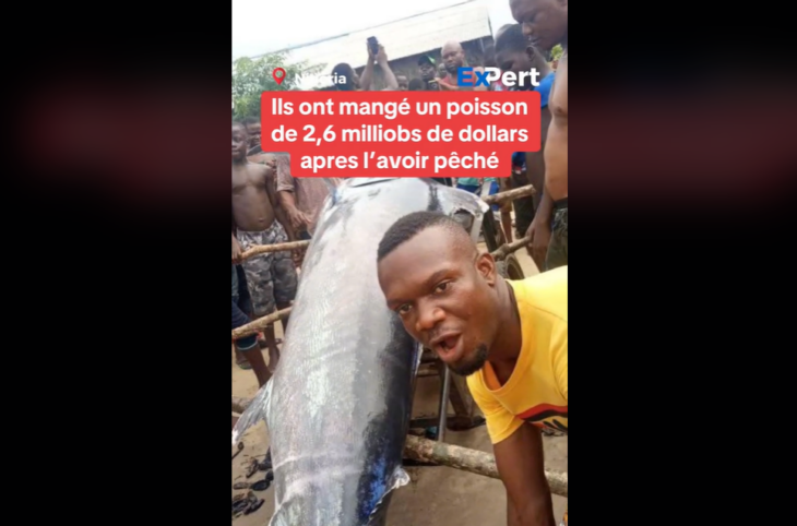 Non, le poisson pêché dans ce village nigérian n’atteint pas 2,6 millions de dollars