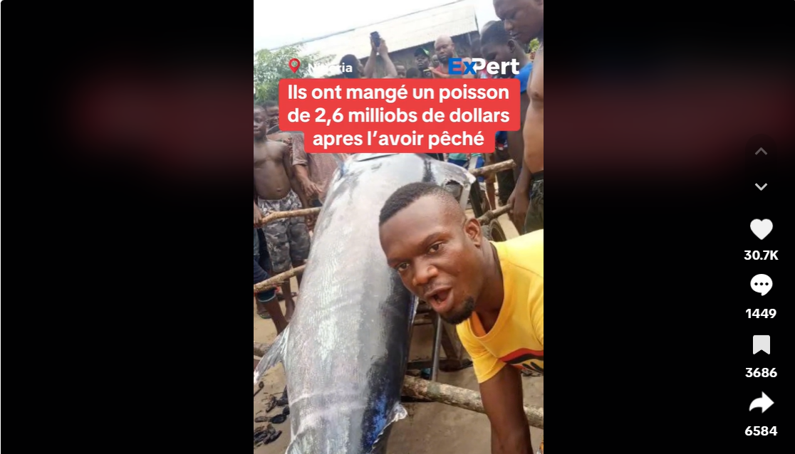 Non, le poisson pêché dans ce village nigérian n’atteint pas 2,6 millions de dollars