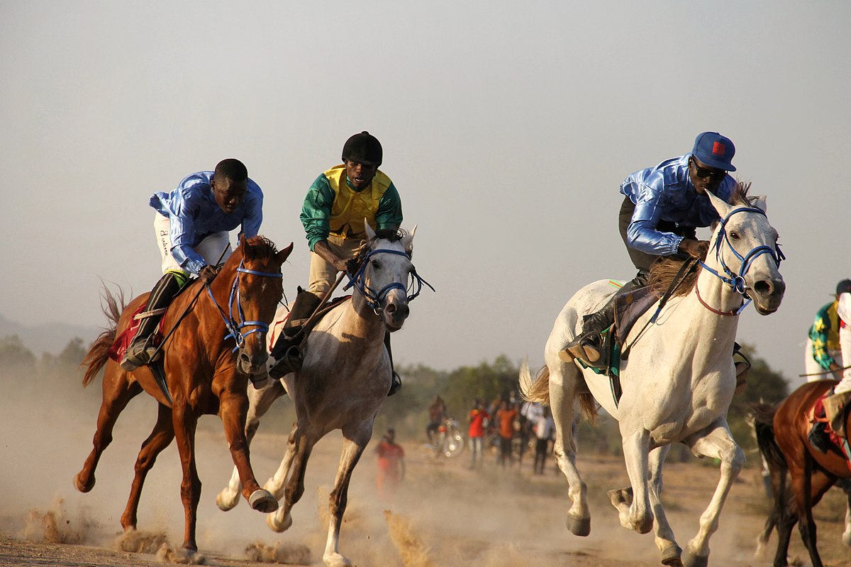 Festival « Dokin Iska » : zoom sur l’univers des jockeys à Filingué