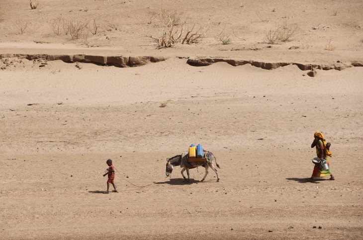 Niamey - Climat: une marche pour dénoncer l’inaction politique