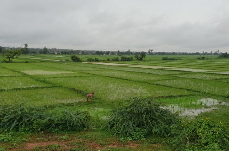 Dosso : les inondations pourraient compromettre la campagne agricole