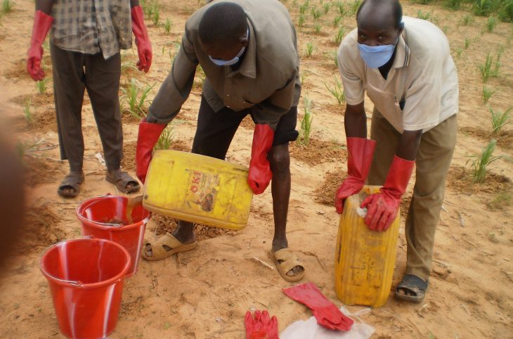 Dosso : sensibilisation des agriculteurs de Dogondoutchi sur la Covid-19