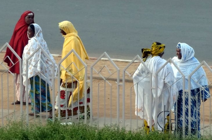 Niger / 28 ans après la conférence nationale, les femmes nigériennes occupent toujours « un rôle secondaire » dans la gestion du pays